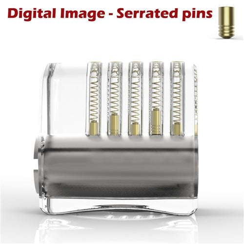 Clear Acrylic Practice Lock